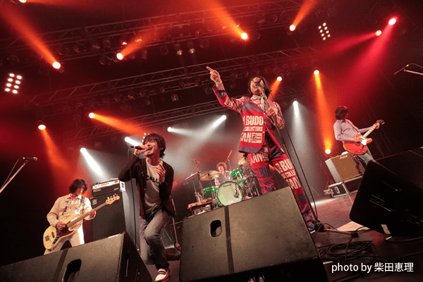 THE COLLECTOORS with Guest Vocalists