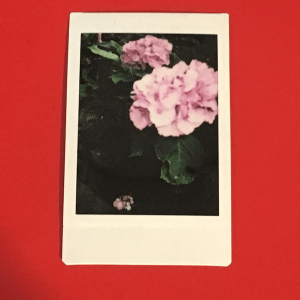 山﨑彩音